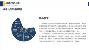 新能源汽車(chē)投資門(mén)檻提高,深入解讀發(fā)改委 汽車(chē)產(chǎn)業(yè)投資管理規(guī)定